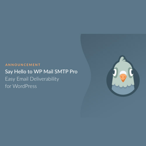 WP-Mail-SMTP-Pro-congvietit.com