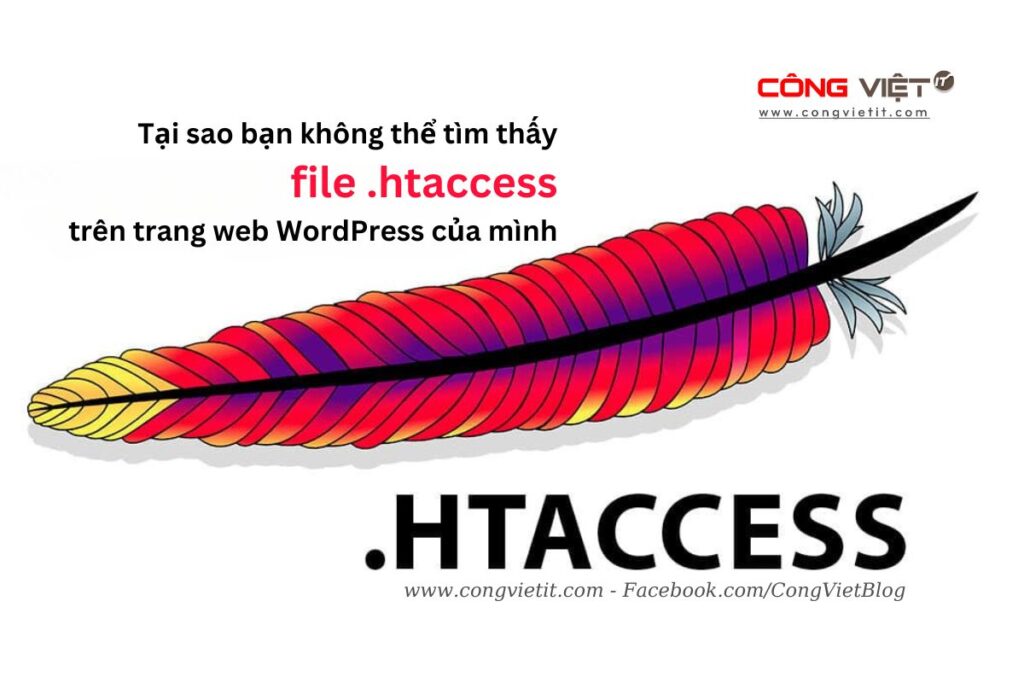 Tại sao bạn không tìm thấy file .htaccess trên trang web WordPress của mình